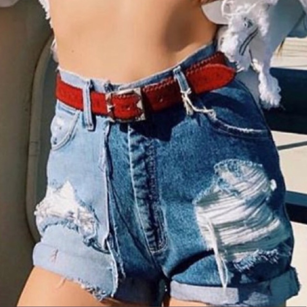 ISO furst of a kind LF two toned shorts.